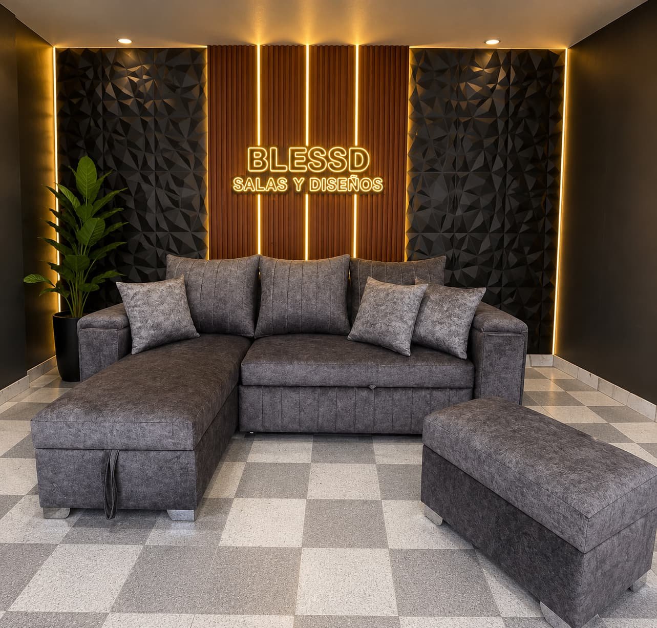 Sala Carro - Imagen 7