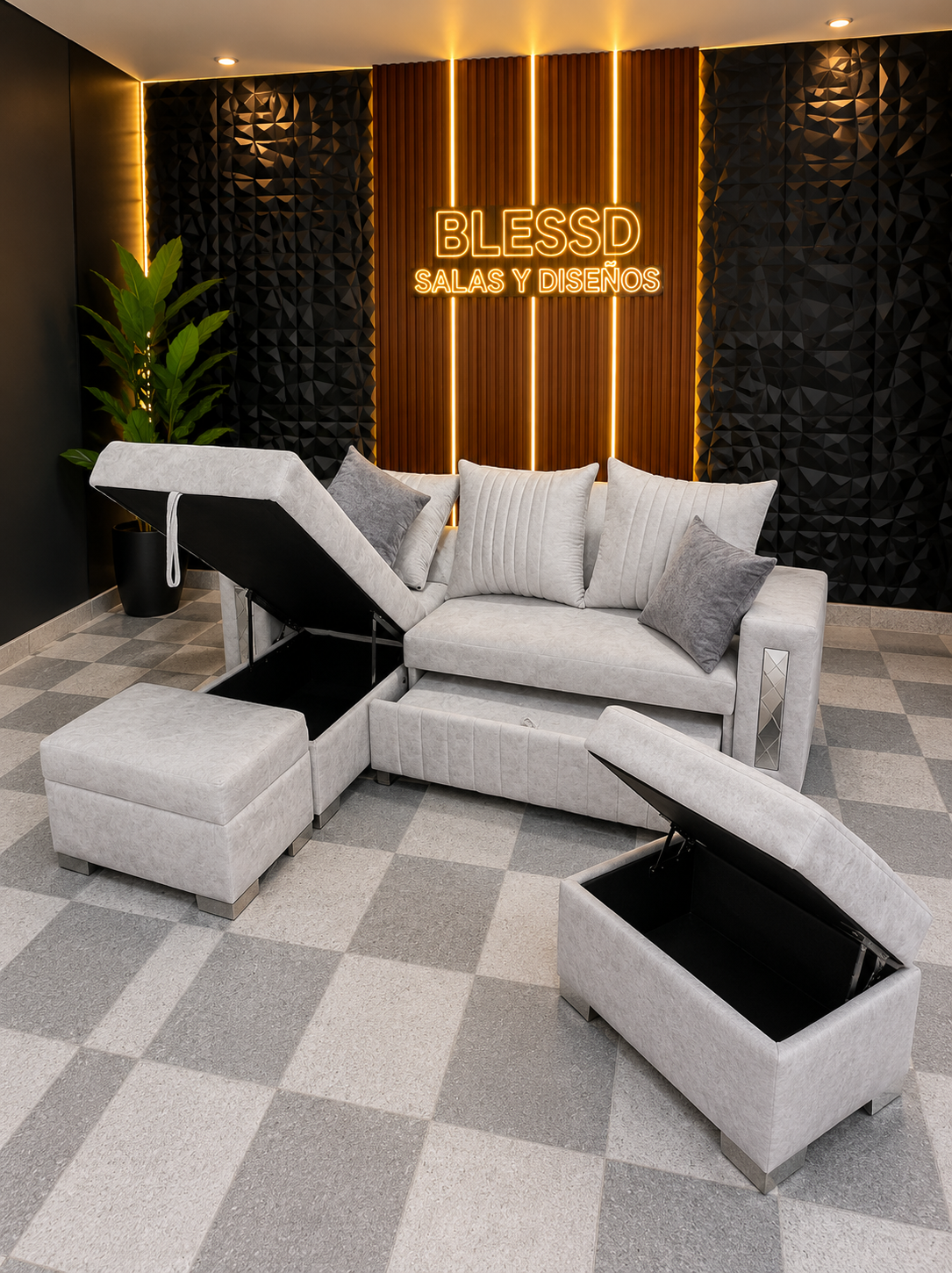 Sala Carro - Imagen 2