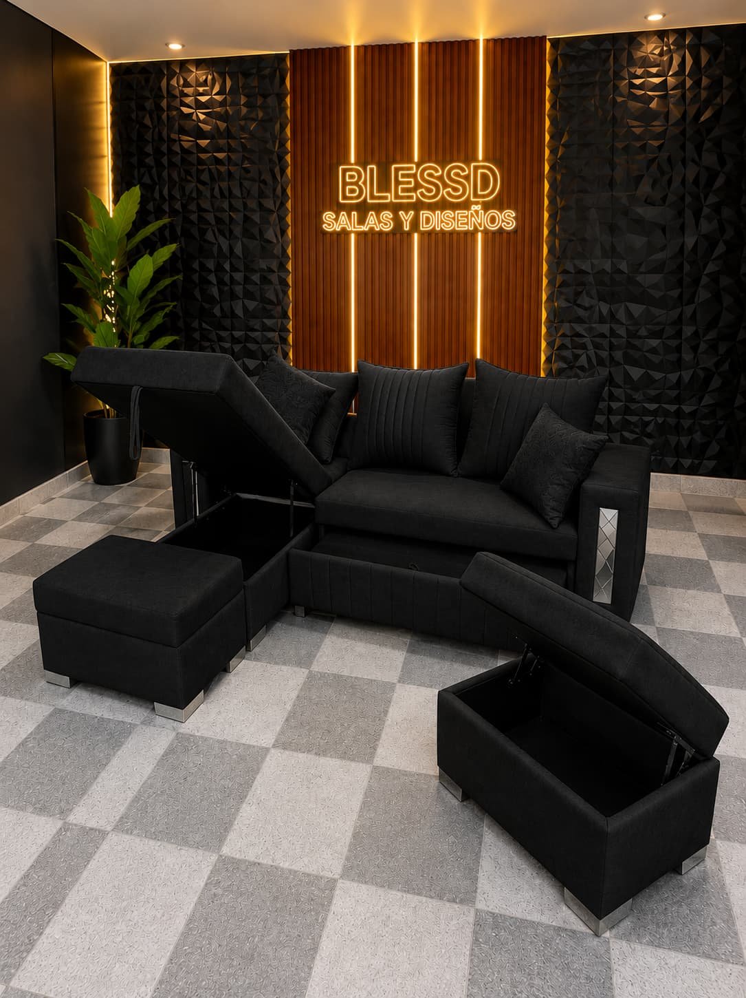 Sala Carro - Imagen 4