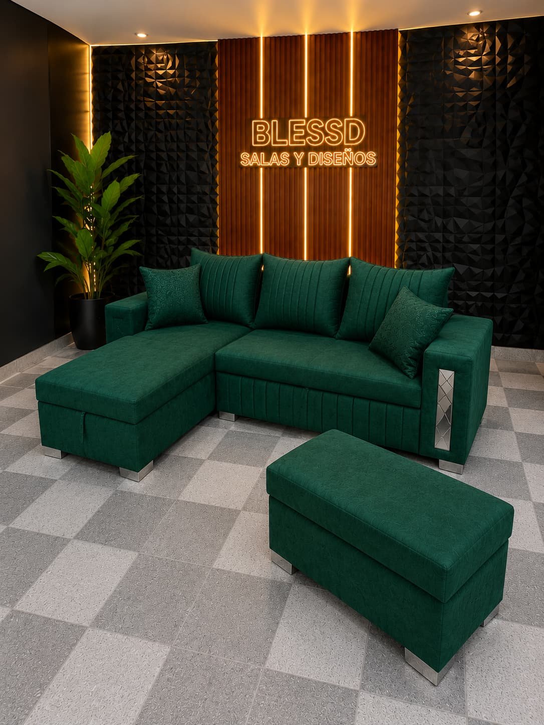 Sala Carro - Imagen 3