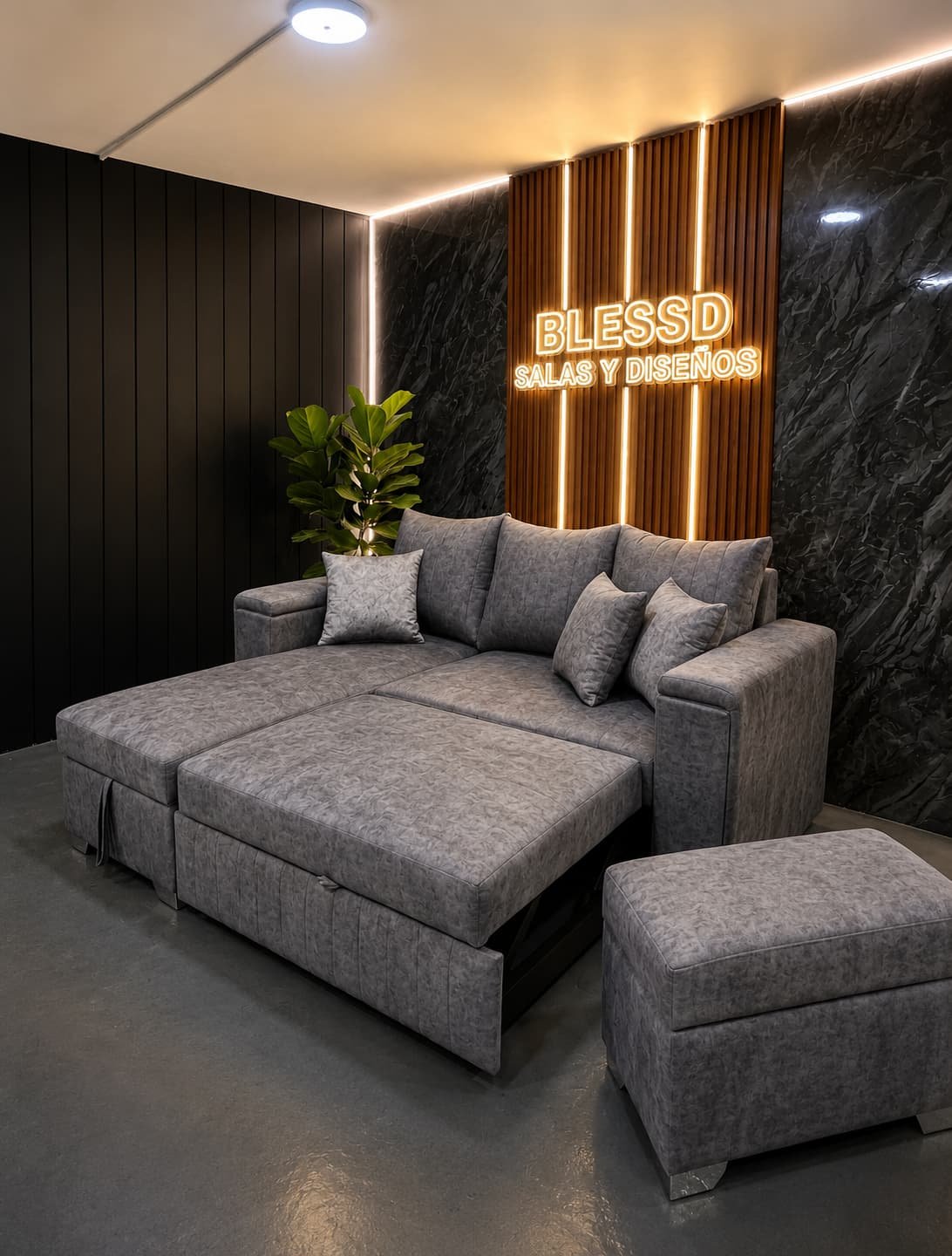 Sala Carro - Imagen 8